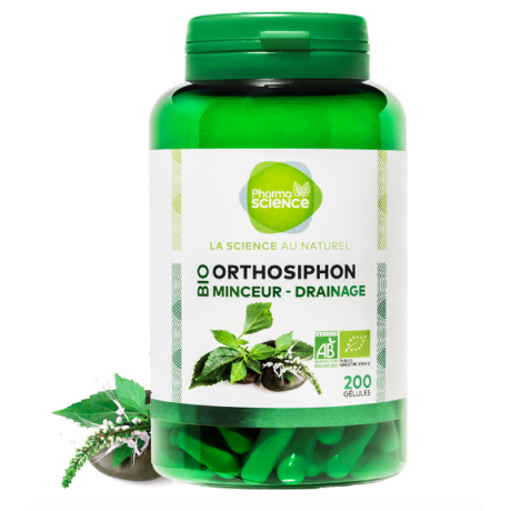 PHARMASCIENCE BIO ORTHOSIPHON 200 gélules PHARMASCIENCE BIO ORTHOSIPHON 200 gélules