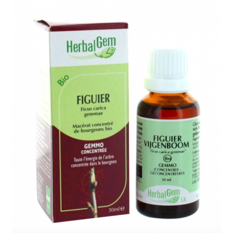 HERBALGEM BIO FIGUIER 30ML HERBALGEM BIO FIGUIER 30ML