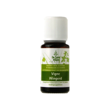 DE SAINT HILAIRE MACERAT DE VIGNE BIO 30ML DE SAINT HILAIRE MACERAT DE VIGNE BIO 30ML