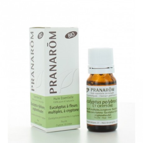 PRANAROM HUILE ESSENTIELLE D'EUCALYPTUS À CRYPTONE BIO 10 ML