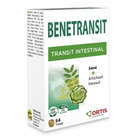 Ortis Benetransit Transit...