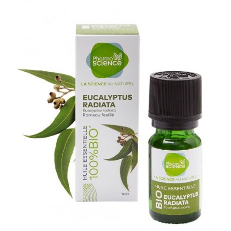 PHARMASCIENCE Huile Eseentielle EUCALYPTUS RADIATA BIO 10ml PHARMASCIENCE Huile Eseentielle EUCALYPTUS RADIATA BIO 10ml