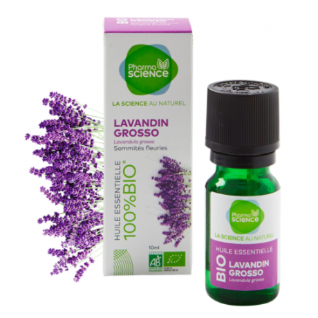 PHARMASCIENCE HUILE ESSENTIELLE LAVANDIN GROSSO BIO 10ml PHARMASCIENCE HUILE ESSENTIELLE LAVANDIN GROSSO BIO 10ml
