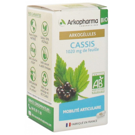 ARKOGÉLULES CASSIS BIO 45 GÉLULES ARKOGÉLULES CASSIS BIO 45 GÉLULES