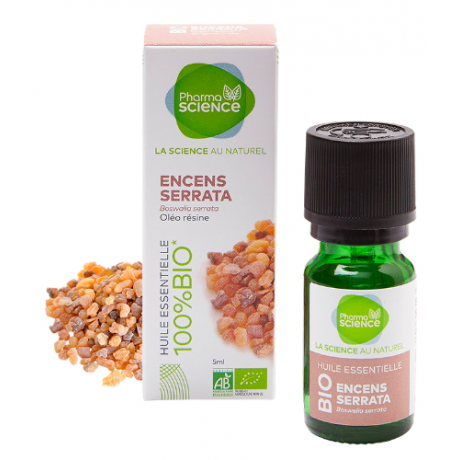 PHARMASCIENCE HUILE ESSENTIELLE ENCENS SERRATA BIO 5ML PHARMASCIENCE HUILE ESSENTIELLE ENCENS SERRATA BIO 5ML