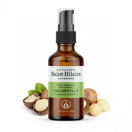 De Saint Hilaire Huile végétale de Calophylle Bio 50ml De Saint Hilaire Huile végétale de Calophylle Bio 50ml