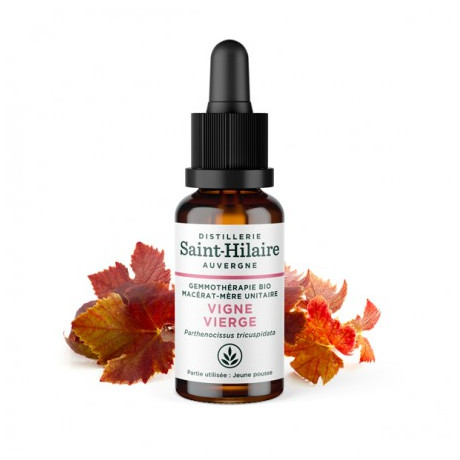 De Saint Hilaire Macérat de vigne vierge Bio 30ml De Saint Hilaire Macérat de vigne vierge Bio 30ml