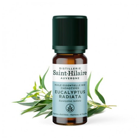 De saint hilaire Huiles essentielles bio Eucalyptus radiata 10ml De saint hilaire Huiles essentielles bio Eucalyptus radiata 10ml
