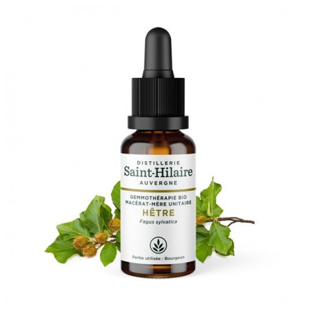 De saint Hilaire MACERAT DE HETRE BIO 30ml De saint Hilaire MACERAT DE HETRE BIO 30ml