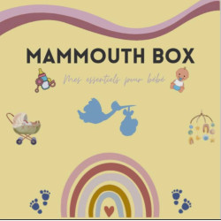 Mammouth Box Bébé 2022
