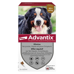 Advantix Chien Solution...