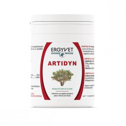 Ergyvet Artidyn pot 110g