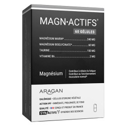 Synactifs MagnActifs 60...