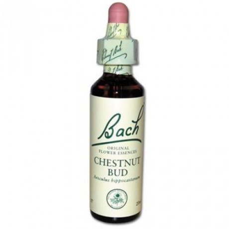 Fleur de Bach Chestnut Bud n°7 - 20 ml - Bach Fleur de Bach Chestnut Bud n°7 - 20 ml - Bach