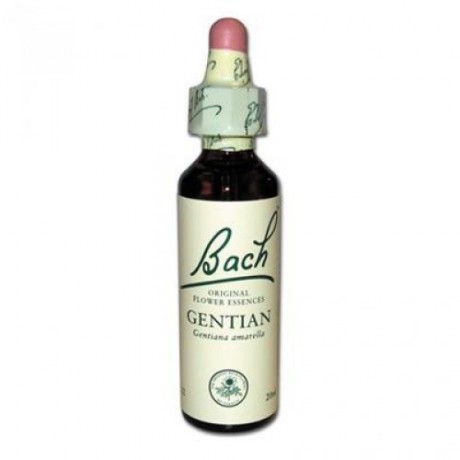 Fleur de Bach Gentian n°12 - 20 ml - Bach Fleur de Bach Gentian n°12 - 20 ml - Bach