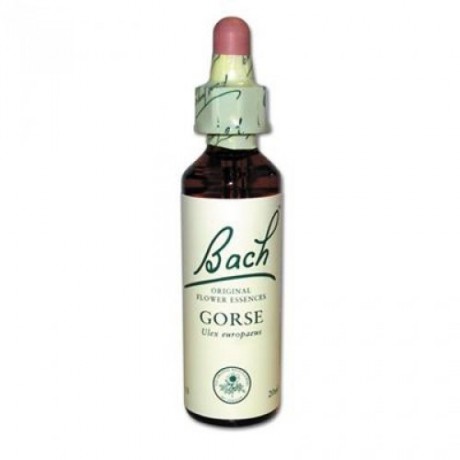 Fleur de Bach Gorse n°13 - 20 ml - Bach Fleur de Bach Gorse n°13 - 20 ml - Bach