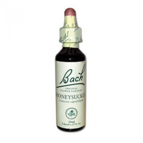 Fleur de Bach Honeysuckle n°16 - 20 ml - Bach Fleur de Bach Honeysuckle n°16 - 20 ml - Bach