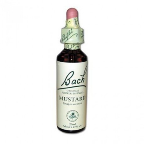 Fleur de Bach Mustard n°21 - 20 ml - Bach Fleur de Bach Mustard n°21 - 20 ml - Bach