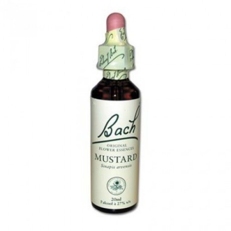 Fleur de Bach Mustard n°21 - 20 ml - Bach