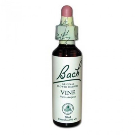 Fleur de Bach Vine n°32 - 20 ml - Bach Fleur de Bach Vine n°32 - 20 ml - Bach